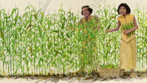 Thee Southern Paiute practiced limited irrigation agriculture, raising corn, squash, melons, gourds, sunflowers, and more.