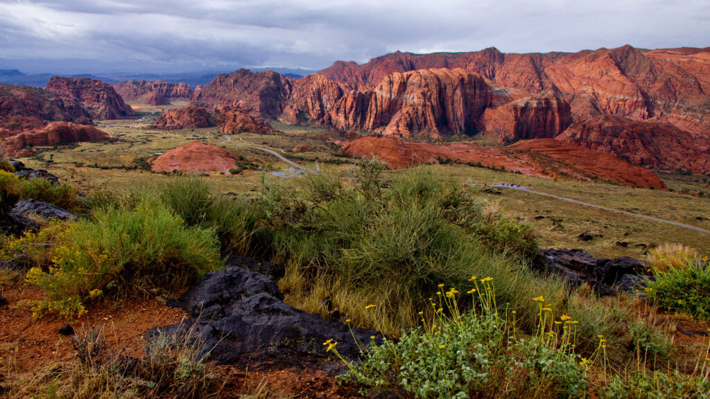 Red Cliffs Desert Reserve